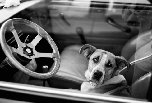 Vancouver Criminal Lawyer